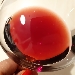 Nebbiolo D'Alba DOC con un nome che � tutto un programma: TESTANVISCA - -