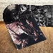Negrita - -