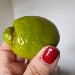 Non sempre � quello che sembra.... - -