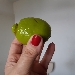 Non sempre � quello che sembra.... - -