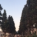 Notte Europea dei Musei 2021, al Parco archeologico di Ercolano diverse opportunit�
 - -