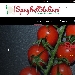 Nuova Home Page di spaghettitaliani Nuova Home Page di spaghettitaliani