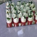 Nuova caprese rivisitata - -