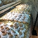 Nuvolette - -