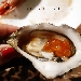 OSTERIA BILLIS Tortona - Giovani professionisti crescono - -