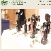 Oli in concorso - -