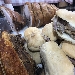 Ostia Street Food - -