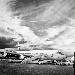 Pacifico - Fotografia di Daniele Coricciati - -