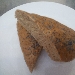 Pane di sagale - -