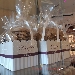 Pasticceria Picchio creatori di sensazioni, dal 1978 Loreto - -