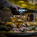 Paul Bricius il birrificio pi� antico di Sicilia - -