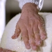 Pecorino Romano DOP - -