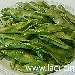 Penne Liguri con pesto di Silene - -