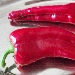 Peperone di Pontecorvo DOP - -