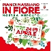 Pian di Massiano in Fiore - -