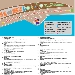 Piantina del Bufala Fest - -