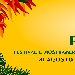 Pikkanapa - -