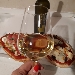 Pinot grigio e la vallata in un sorso - -
