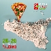 PizzaVillage a Palermo - -