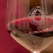 Primitivo di Manduria - -