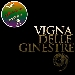Provato da noi: Vigna delle Ginestre - -