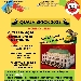 Quasa Brick - -