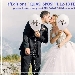 Quasi Sposi - -