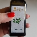 Quel Rosato che ti conquista al primo 