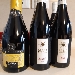 Refosco dal Peduncolo Rosso di Borgo Veritas - -
