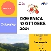 Riparte Di Food in Tour con la terza tappa nella Valle dell'Irno, dopo Baronissi e Pellezzano - Castagne, nocciole, pane biscottato, i frutti del bosco, le farine biologiche, il mallone sciatizzo. Calvanico possiede eccellenti prodotti gastronomici e un ricco patrimonio culturale tutto da scoprire