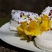 Robiola di Roccaverano DOP - -
