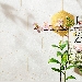 Roku Gin - -