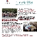 SCUOLA - NASCE LA SCUOLA DEI MAESTRI DI STRADA 