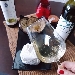 SINERGIE ENOGASTRONOMICHE - -