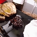 SINERGIE ENOGASTRONOMICHE - -