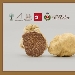 Sagra del Tartufo Bianco in Valle Ghenza - -
