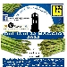Sagra dell'Asparago di Altedo - -