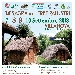 Sagra delle Erbe Palustri - -