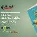 Sceneggiata da Tito Faraci e illustrata da Wallie, l'opera sar� in libreria ad agosto

 - -