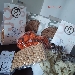 Sinergie Culinarie - -