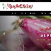 Spaghettitaliani - Calabria - -