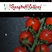 Spaghettitaliani - nuova piattaforma - -