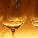Sparkleday - -