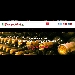 Speciale Vini by spaghettitaliani.com - -