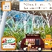 Street Food - -