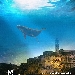 TORNA IL FESTIVAL INTERNAZIONALE DEL CINEMA NELLA CITT� DEI SASSI

 - CONFERMATE LE PARTNERSHIP CULTURALI CON RAI CINEMA CHANNEL E SALONE INTERNAZIONALE DEL LIBRO DI TORINO

