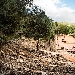 Tenuta dei Normanni - -