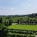 Tenute UGOLINI Vigna sana in luogo sano - -