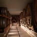 Tenute UGOLINI Vigna sana in luogo sano - -
