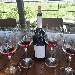 Tenute UGOLINI Vigna sana in luogo sano - -